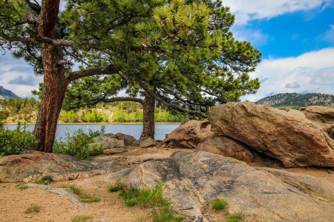 On Fall River - Permit #3193 Estes Park Exteriör bild